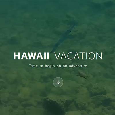 An Adventure To Hawaii